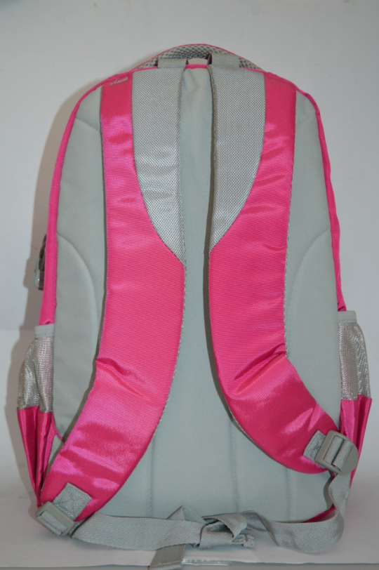 Рюкзак Олли OL-251Р розовый Фото