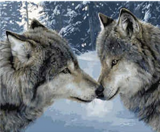 Набір для розпису по номерах VA-1651 &quot;Поцілунок вовків&quot;, розміром 40х50 см Фото
