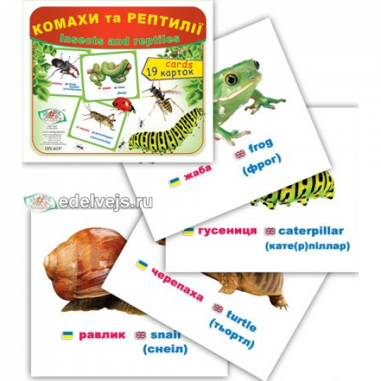 Набор карточек типа Домана на тему Комахи та рептилії - 19 карточек Фото