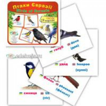Набор карточек типа домана Птахи Євразії - 19 карточек
