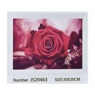 Алмазная мозаика JS 20463 (50) в коробке 30х20