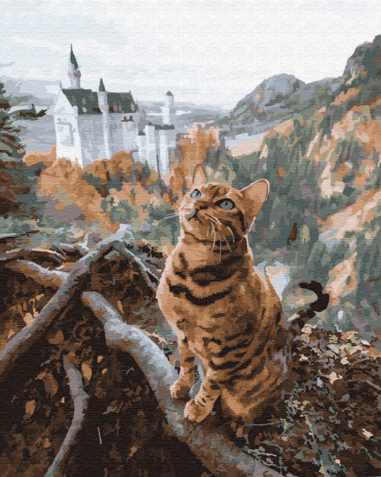 Картина по номерам 40*50 Кот у замка Нойшванштайн Фото