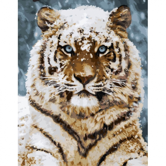 Картина по номерам - Уссурийский тигр (КНО4140) Фото