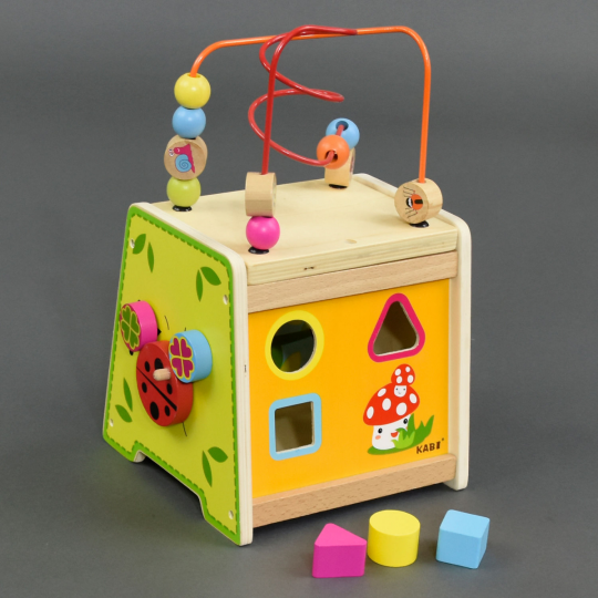 Деревянная игрушка логический куб Фото