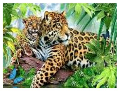 Картина по номерам &quot;Леопарды-С любимой мамочкой&quot; 40*50см,крас.-акрил,кисть-3шт.(1*30)