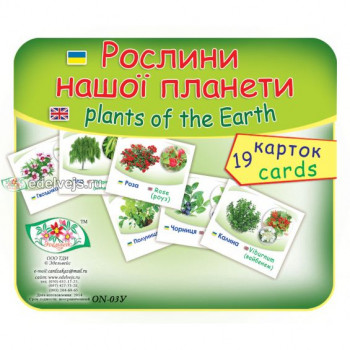 Набор карточек типа домана Рослини нашої планети