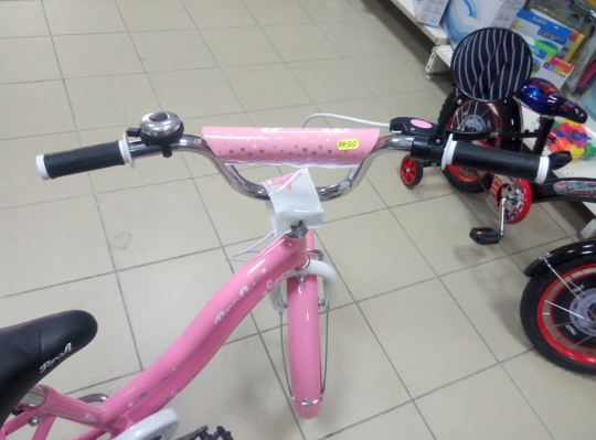 Детский двухколёсный велосипед Star 18’’ Profi L1891 Фото