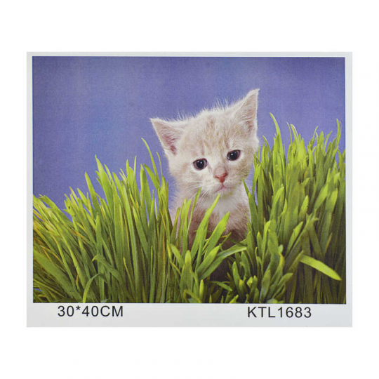 Картина по номерам KTL 1683 (30) в коробке 40х30 Фото