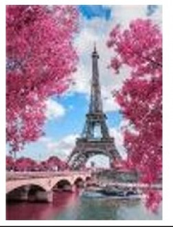 Картина по номерам &quot;Эйфелева башня в розов.листве&quot; 40*50см,крас.-акрил,кисть-3шт..(1*30)
