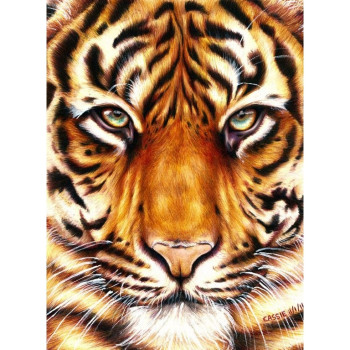 Картины по номерам Сила тигра арт. КНО2459 размер 30*40 см