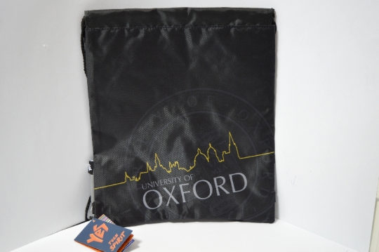 Сумка для обуви №553617(40*35) 'Oxford black SB-01' Фото