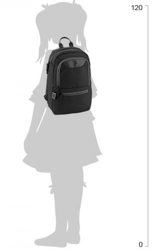 Рюкзак молодежный GoPack 0.32 кг 37x24x9 см 10 л Черный (GO19-119S-1) Фото