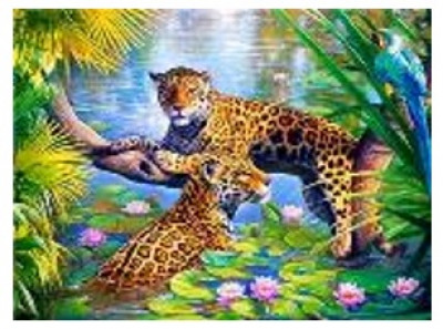 Картина по номерам &quot;Леопарды&quot; 40*50см,крас.-акрил,кисть-3шт.(1*30)