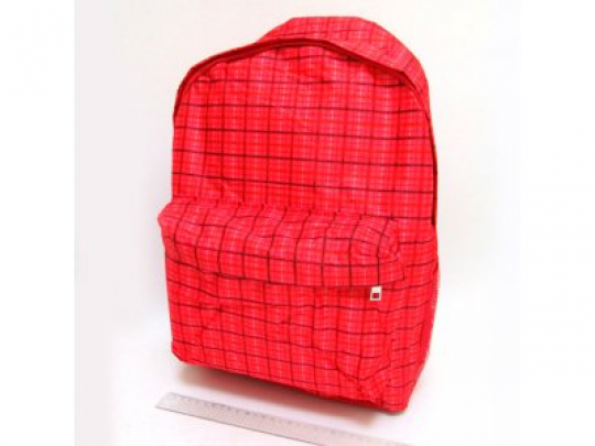 DSCN0635-B-1 Рюкзак с карманом &quot;Сетка&quot;, 42х30х13см Фото
