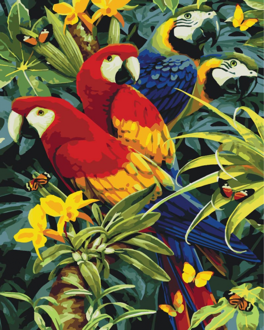 Роспись по номерам &quot;Разноцветные папугаи&quot;,в кор.40*50см Фото