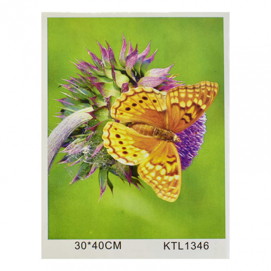 Картина по номерам KTL 1346 (30) в коробке 40х30 Фото