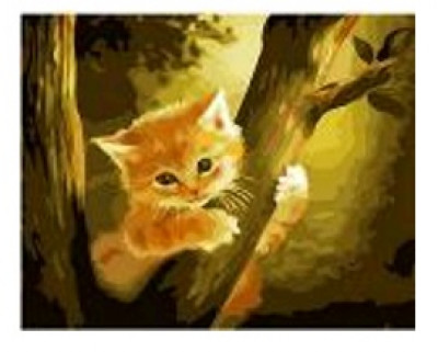 Картина по номерам &quot;Кот на дереве&quot; 40*50см,крас.-акрил,кисть-3шт.(1*30)