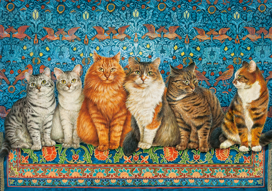 Пазл Castorland Благородные кошки, 500 элементов Фото