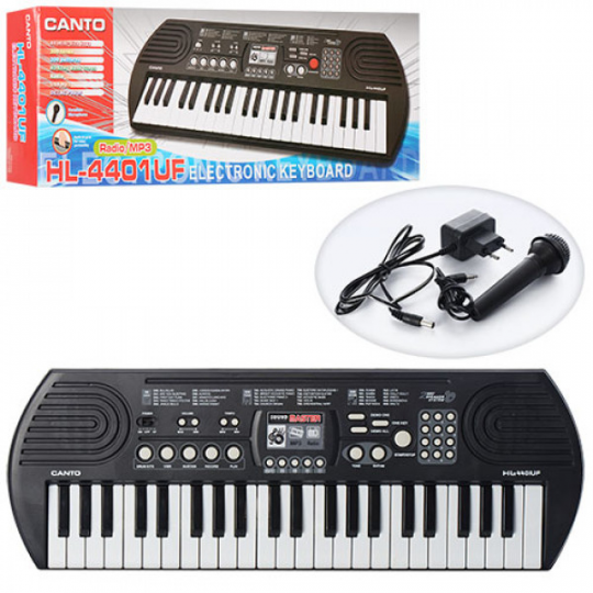 Синтезатор HL-4401UF  44 клавиши, микрофон, рег.гром,запись,USBвход ,FM,от сети, в коробке 67-23-7 см Фото