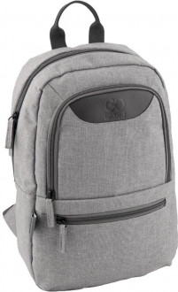 Рюкзак молодежный GoPack 0.32 кг 37x24x9 см 10 л Светло-серый (GO19-119S-2)