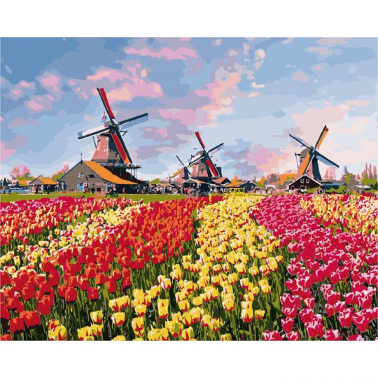 Роспись по номерам Сельский пейзаж &quot;Красочные цветы Голландии&quot;, в термопакете 40*50см Фото