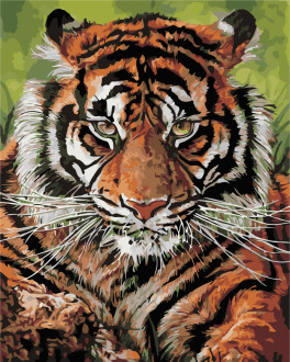 Роспись по номерам &quot;Взгляд тигра&quot; в кор. 40*50см, ТМ ArtStory