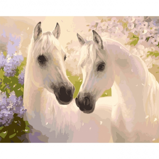 Картины по номерам - Пара лошадей КНО2433 Фото