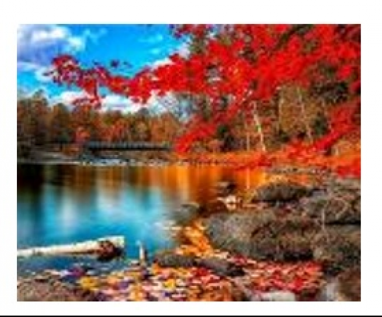 Картина по номерам &quot;Озеро в лесу&quot; 40*50см,крас.-акрил,кисть-3шт.(1*30) Фото