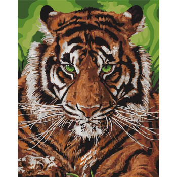Картины по номерам - Непобедимый тигр (КНО4143) 40*50 см