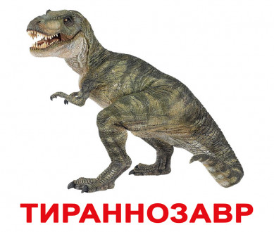 Карточки большие русские с фактами &quot;Динозавры&quot; 20шт, методика Глена Домана, в кул. 16,5*19,5см