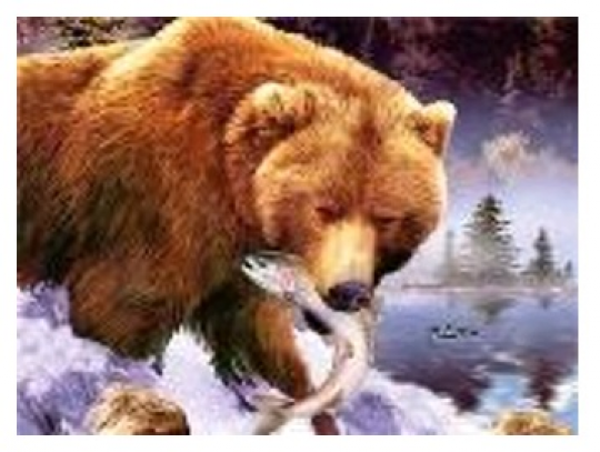 Картина по номерам &quot;Медведь ловит рыбу&quot; 40*50см,крас.-акрил,кисть-3шт.(1*30) Фото