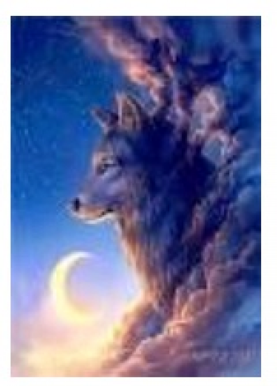 Картина по номерам &quot;Волк в облаках&quot; 40*50см,крас.-акрил,кисть-3шт.(1*30) Фото