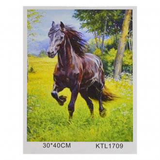 Картина по номерам KTL 1709 (30) в коробке 40х30