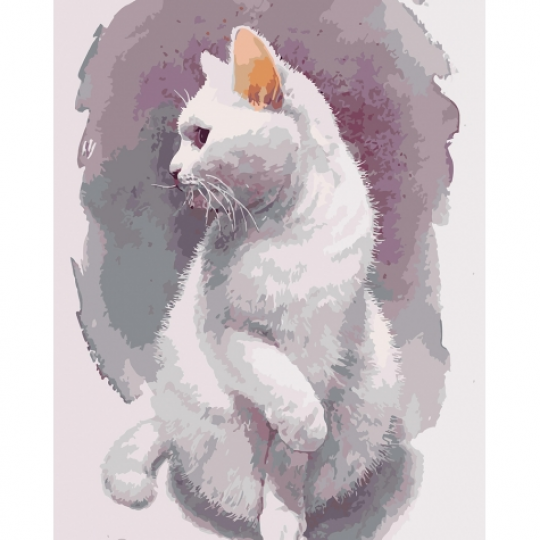 Картины по номерам - Нежный кот (КНО4181) 40*50 см Фото