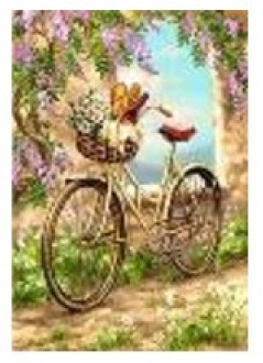 Картина по номерам &quot;Велосипед в цветах&quot; 40*50см,крас.-акрил,кисть-3шт.(1*30)