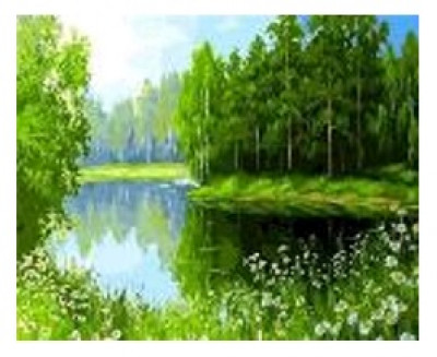 Картина по номерам &quot;Озеро в лесу&quot; 40*50см,крас.-акрил,кисть-3шт.(1*30)