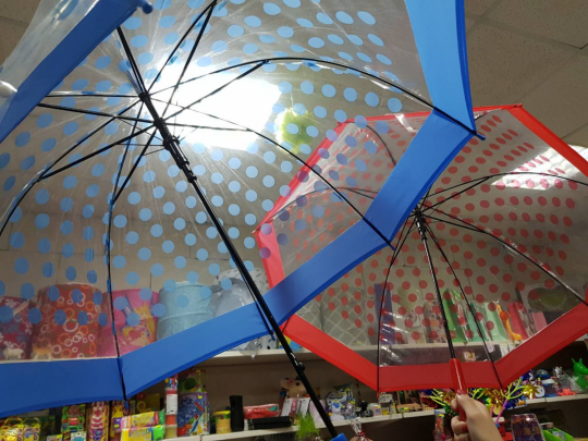 Зонт прозрачный купольный горох Фото