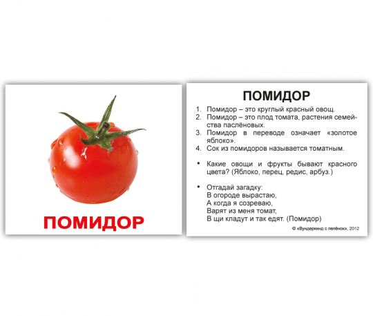 Карточки мини русские с фактами &quot;Овощи&quot; 40 карт., в кул 8*10см, ТМ Вундеркинд с пеленок Фото