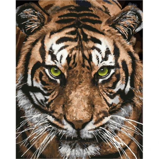 Картины по номерам - Величественный тигр (КНО4166) 40*50 см Фото