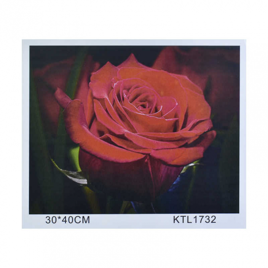 Картина по номерам KTL 1732 (30) в коробке 40х30 Фото