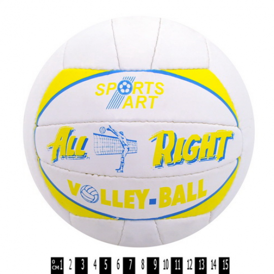 Мяч волейбольный ALL RIGHT ПВХ, (латекс. камера, ПВХ) Фото