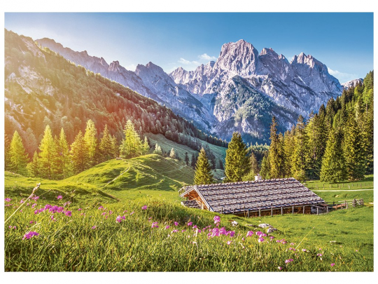Пазл Castorland Лето в Альпах, 500 элементов Фото