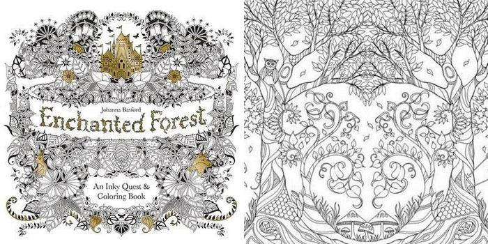 Раскраска Forest Girl's Coloring Book Vol.2 PREMIUM EDITION
