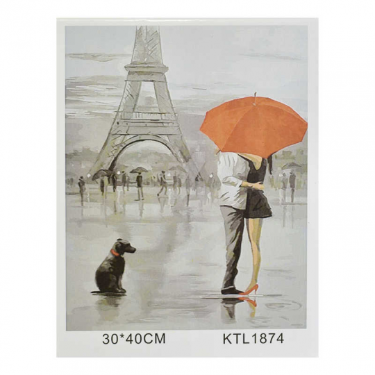 Картина по номерам KTL 1874 (30) в коробке 40х30 Фото