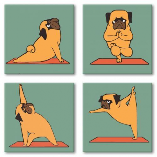 KNP012 Картина по номерам Yoga-dog Идейка Фото