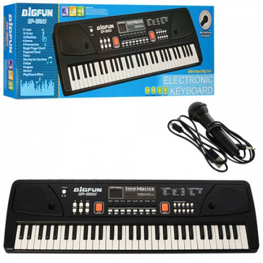 Синтезатор BF-630A1 61 клавиша, микрофон, USB, запись, Demo, от сети Фото